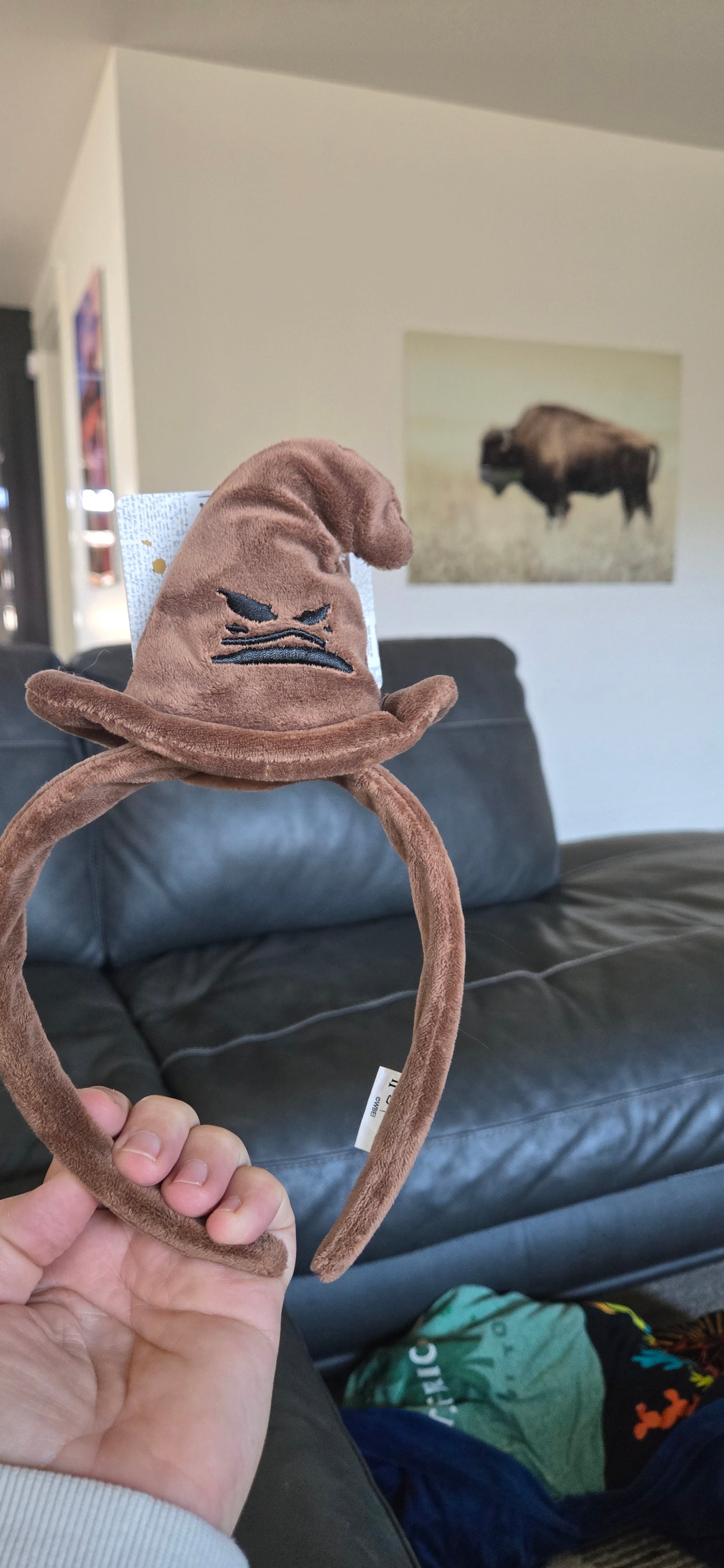 Harry Potter Sorting Hat Ears Headband