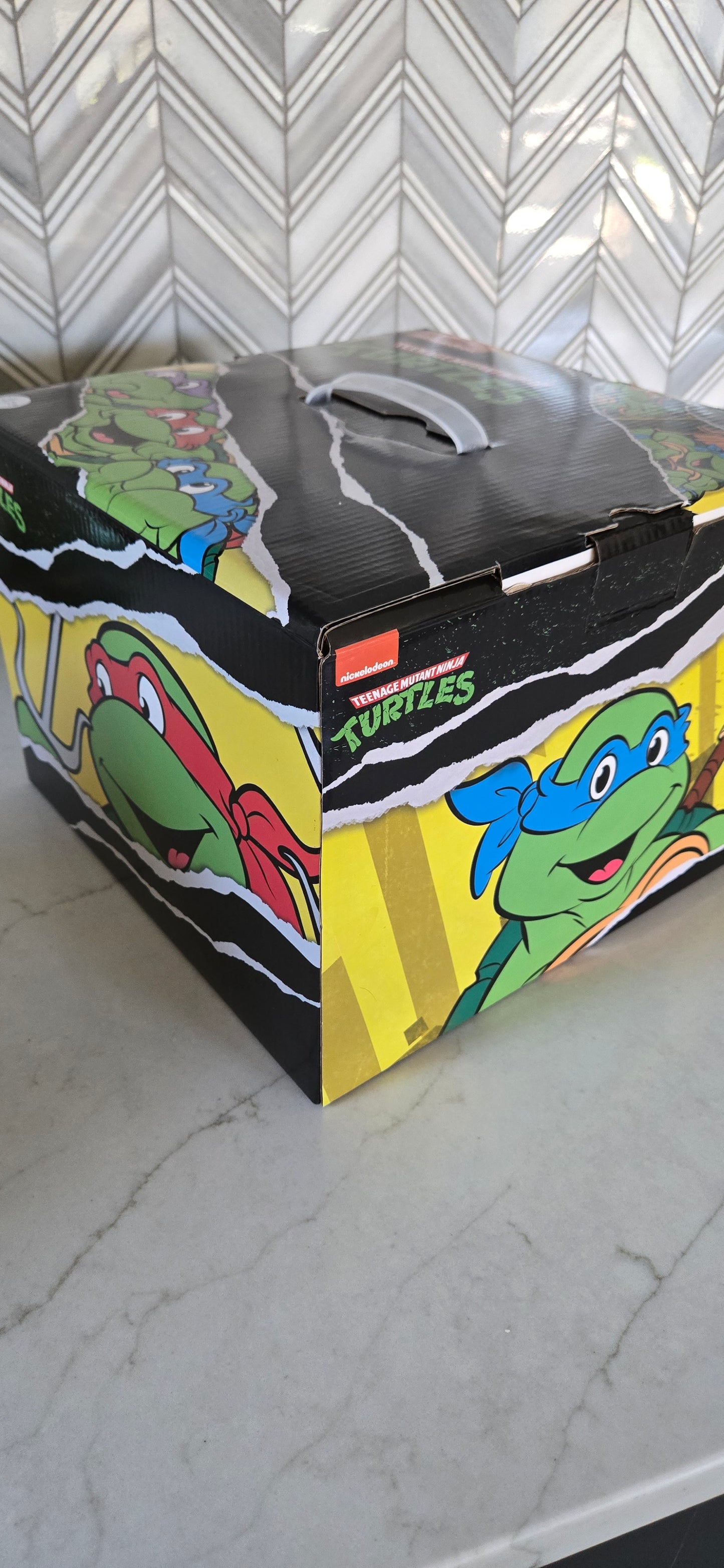 Nickelodeon Teenage Mutant Ninja Turtles Mystery Box