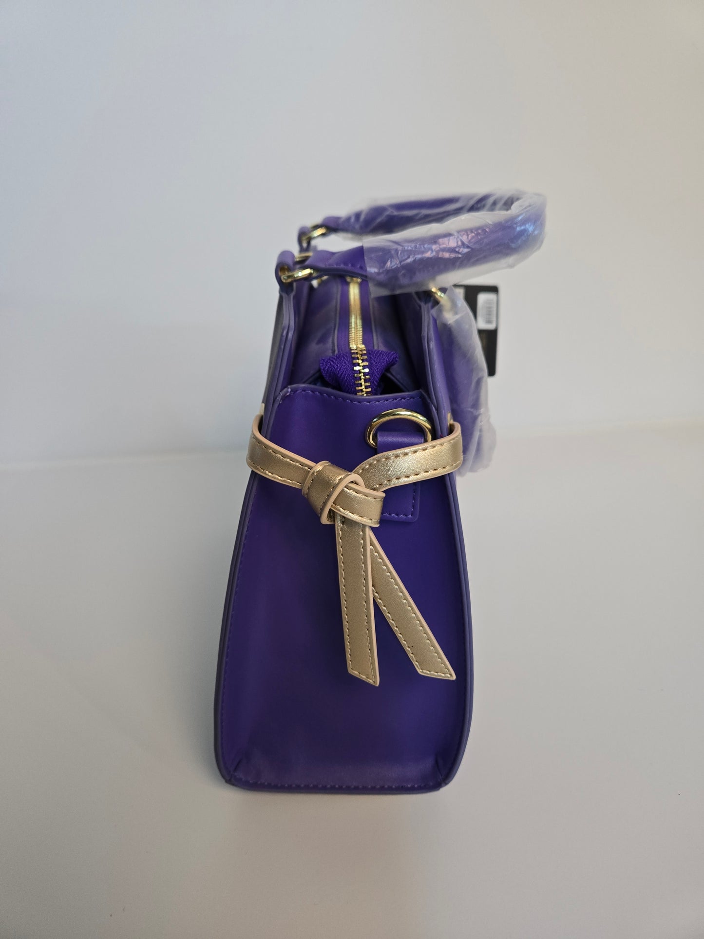 Disney Aladdin 30th Anniversary Crossbody