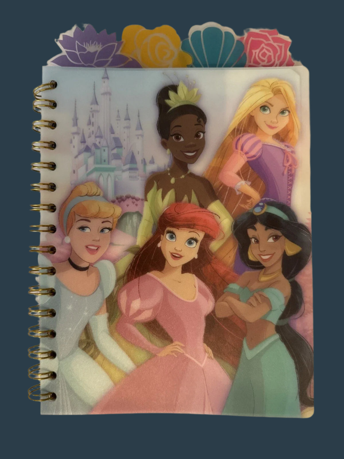 Disney Princess Journal With Floral Tabs