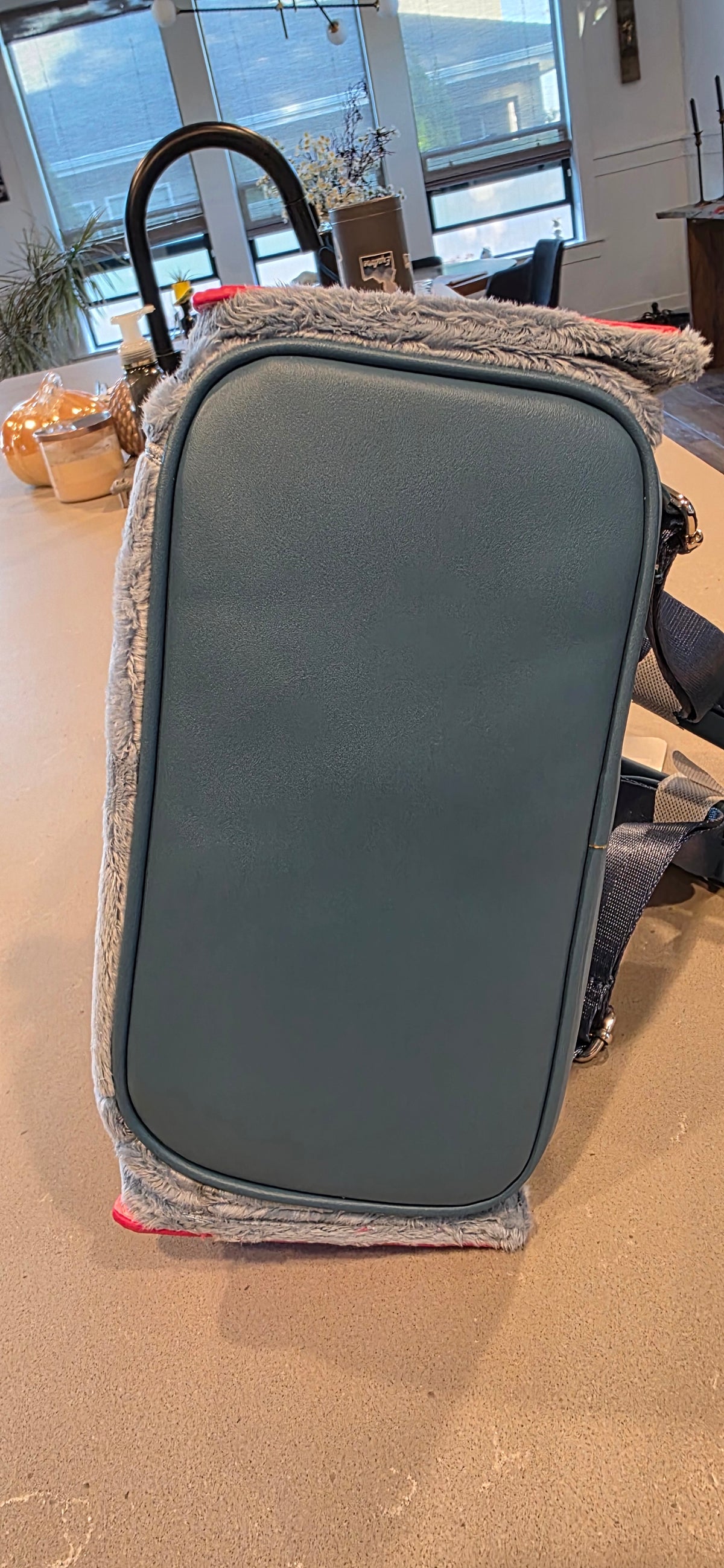 BP: Disney Parks Pixar Ratatouille Remy Plush Mini Backpack