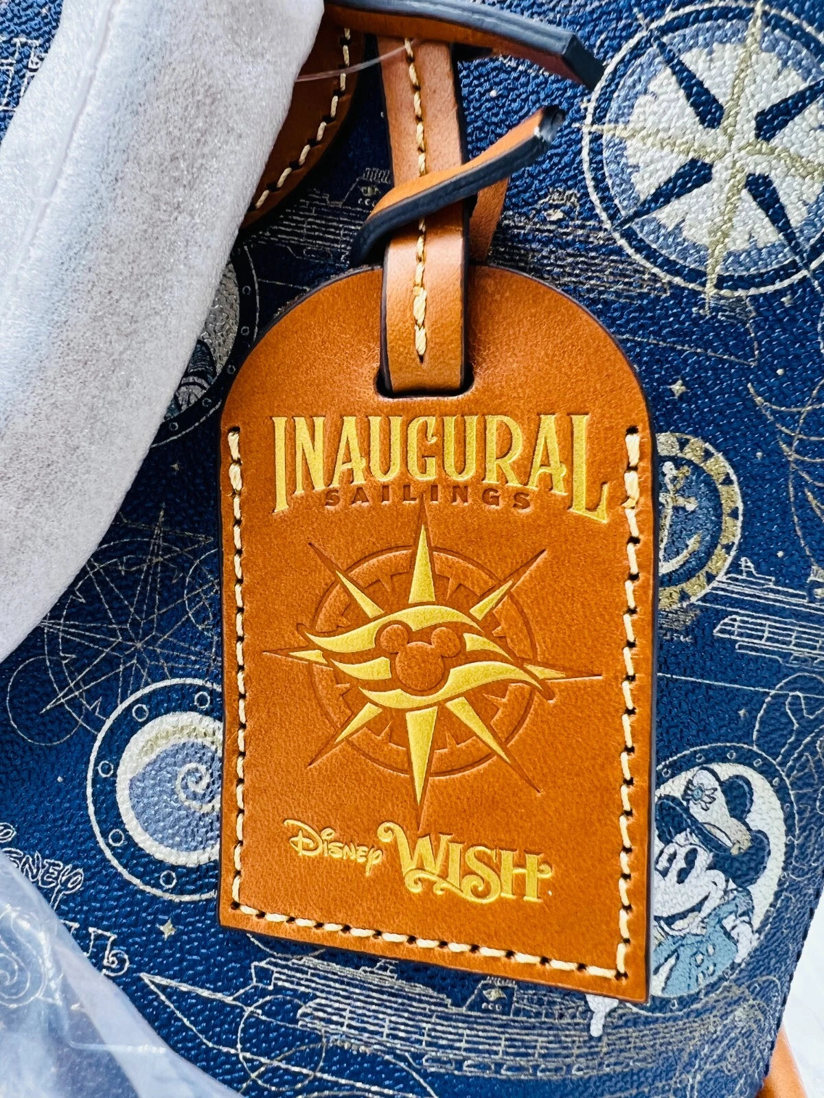 Dooney & Bourke Disney Wish Cruiseline Small Crossbody